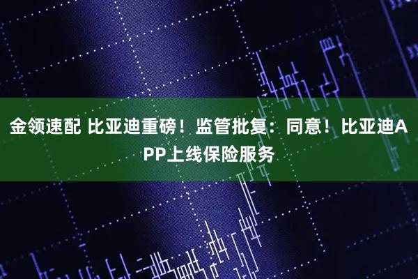 金领速配 比亚迪重磅！监管批复：同意！比亚迪APP上线保险服务