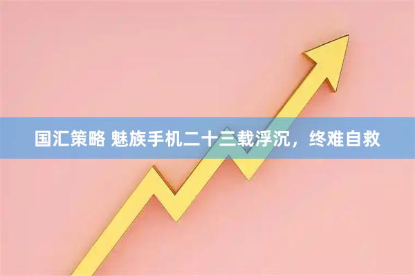 国汇策略 魅族手机二十三载浮沉,终难自救